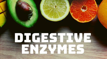 Digestive Enzymes - Are They Really Important to Our Body?