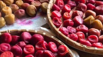 Ume Plums – Six Health Benefits You Must Know